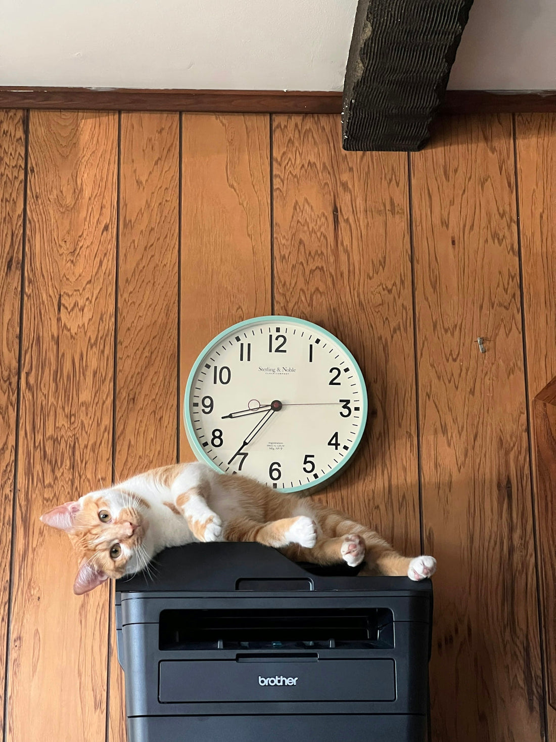 a cat lying on a heater