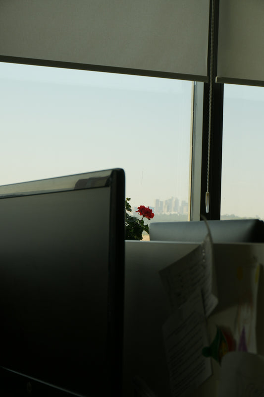 A rose sits next to the window with a distant cityscape.