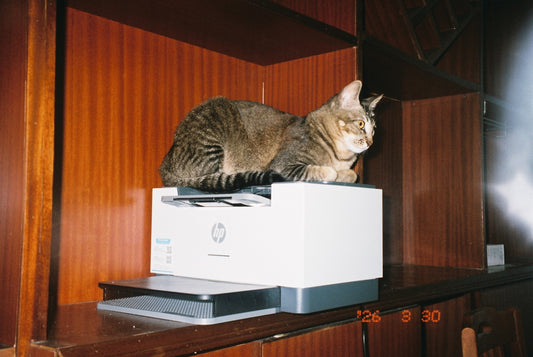 A tabby cat rests on top of a printer.